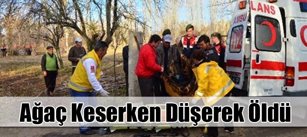 Ağaç Keserken Düşerek Öldü