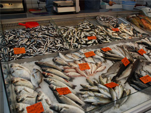 Isparta'da 1.798 Ton Tatlı Su Ürünü Avlandı