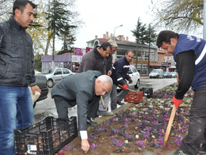 Eğirdir’e 20 Bin Lale