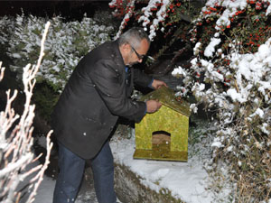 Belediyeden Sokak Hayvanlarına Kulübe