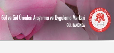 Gülar: Gülcülüğün Mimarı İsmail Efendi'dir