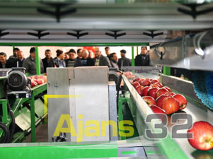 Saatte 17 Ton Elma İşlenecek
