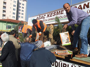 Ağaç Kesme Fidan Dik