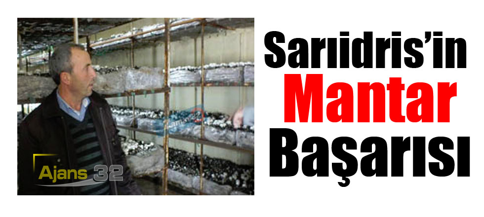 Sarıidris’in Mantar Başarısı