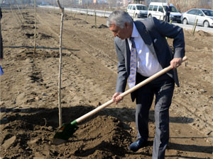 100 Bin Fidan Toprakla Buluşacak