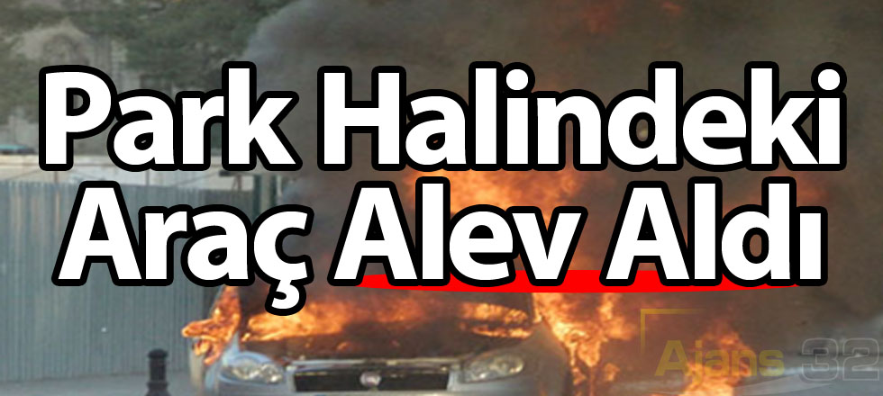 Park Halindeki Araç Alev Aldı