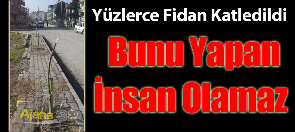 Yüzlerce Ağaç Katledildi