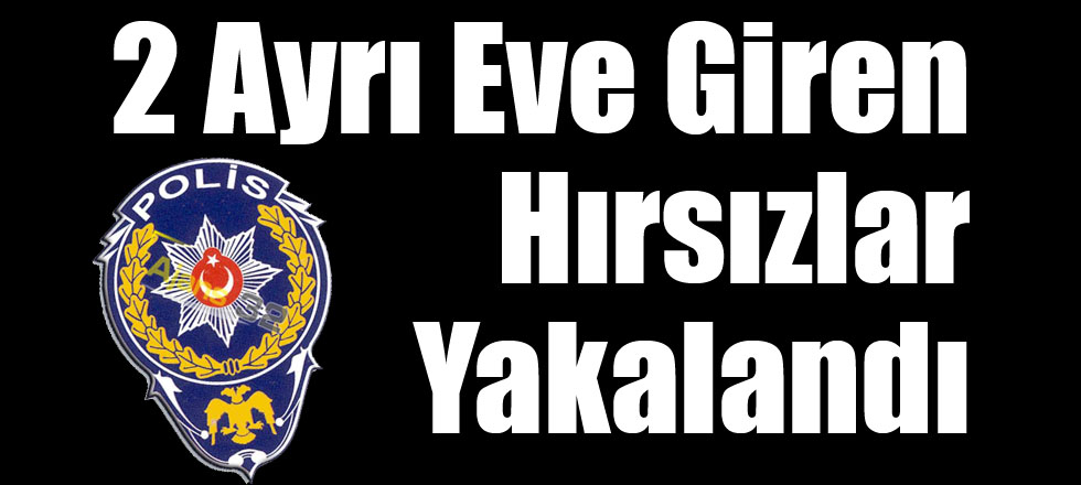 2 Ayrı Eve Giren Hırsızlar Yakalandı