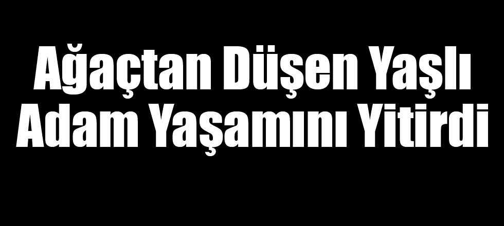 Ağaçtan Düşen Yaşlı Adam Yaşamını Yitirdi