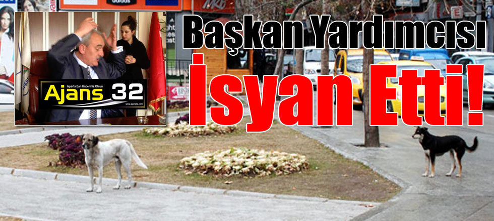 Başkan Yardımcısı İsyan Etti!