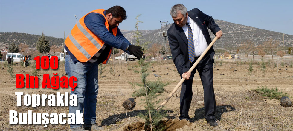 100 Bin Ağaç Toprakla Buluşacak