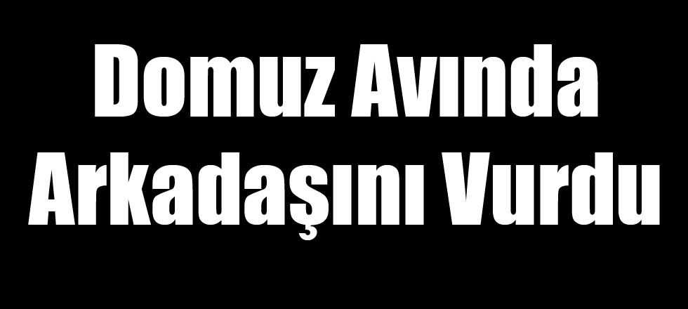 Domuz Avında Arkadaşını Vurdu