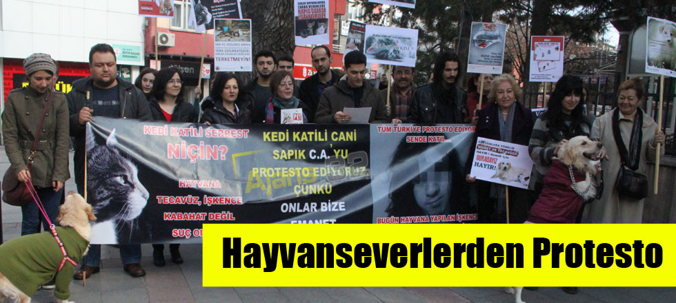 Hayvanseverlerden Protesto