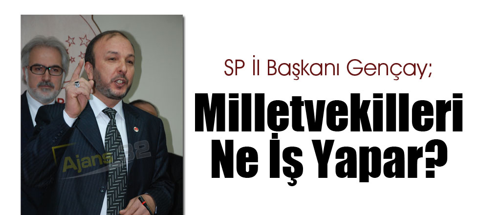 Milletvekilleri Ne İş Yapar?