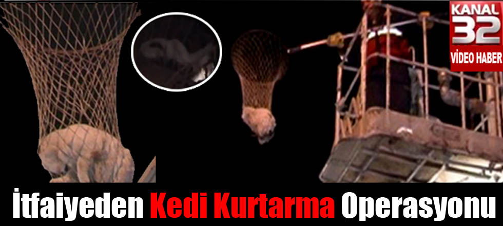 İtfaiyeden Kedi Kurtarma Operasyonu