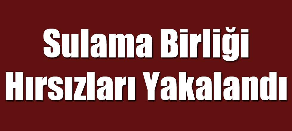 Sulama Birliği Hırsızları Yakalandı