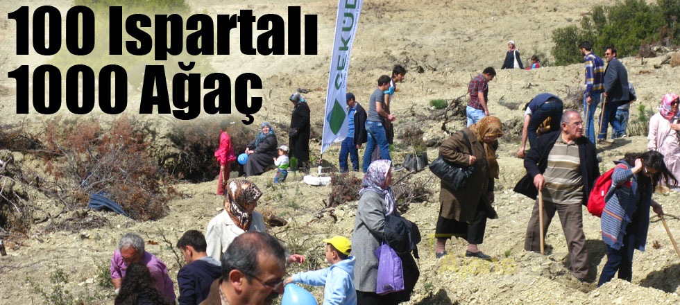 100 Ispartalı 1000 Ağaç
