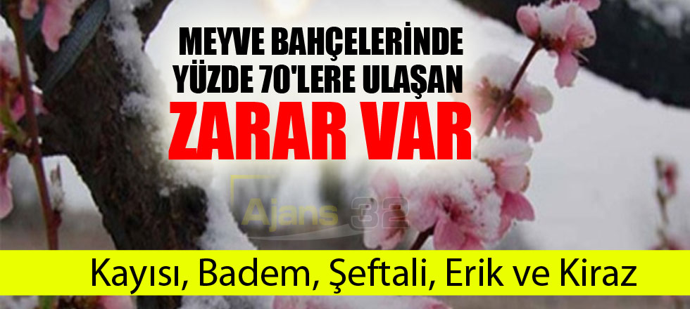 Meyve Bahçelerinde Don Zararı Yüzde 70'lerde