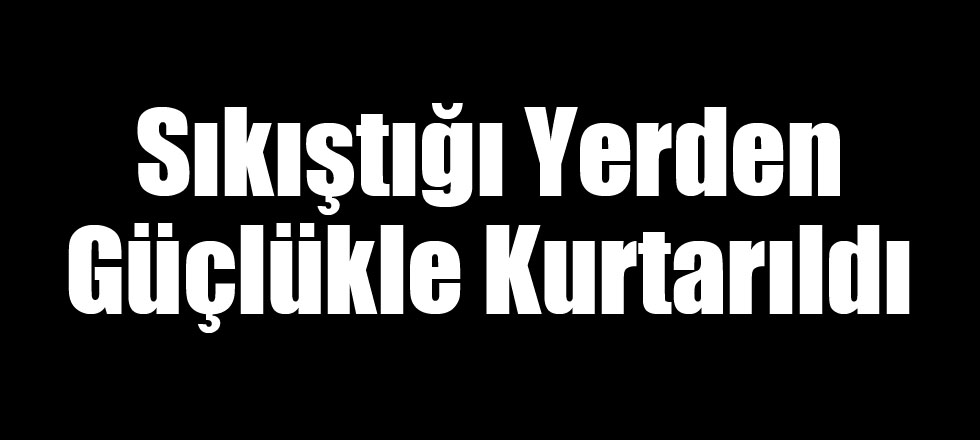 Sıkıştığı Yerden Güçlükle Kurtarıldı