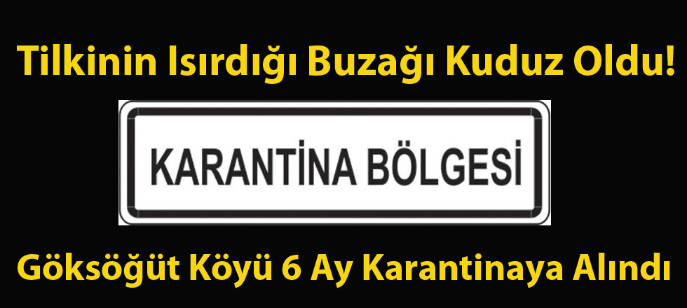 Göksöğüt Köyü Karantinaya Alındı