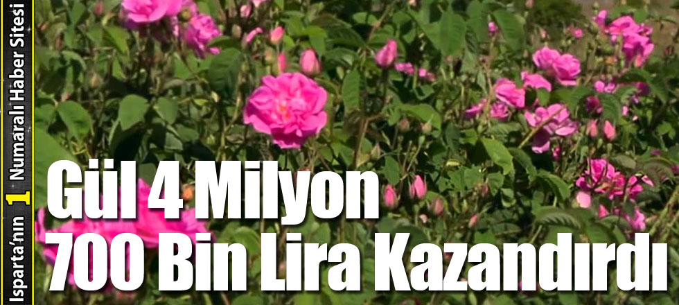 Gül 4 Milyon 700 Bin Lira Kazandırdı