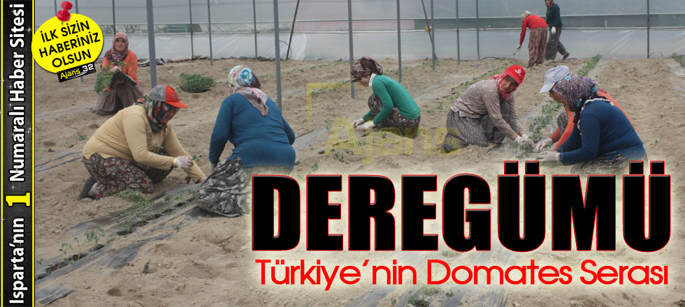 Türkiye’nin Domates Serası: Deregümü