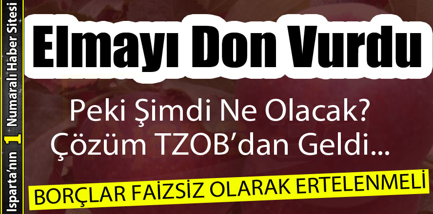 Elmayı Don Vurdu... Peki Şimdi Ne Olacak?