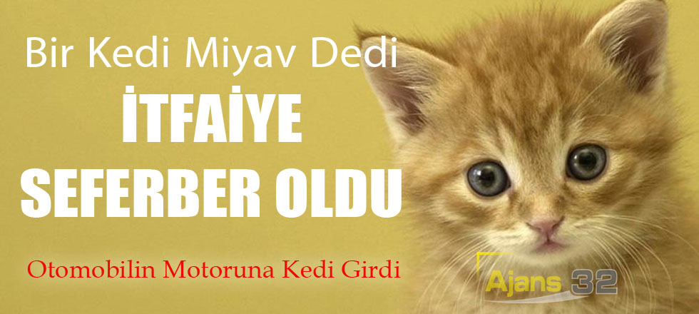 Otomobilin Motoruna Kedi Girdi