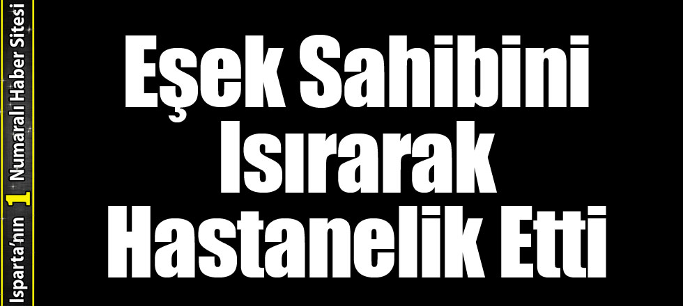 Eşşek Sahibini Isırarak Hastanelik Etti