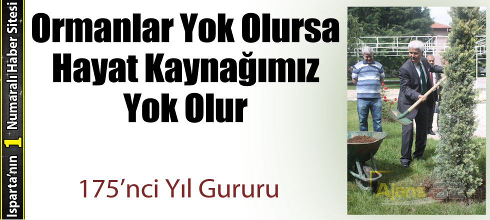 Ormanlar Yok Olursa Hayat Kaynağımız Yok Olur