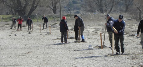ISTUDAK Üyeleri Bedre Plajını Ağaçlandırdı