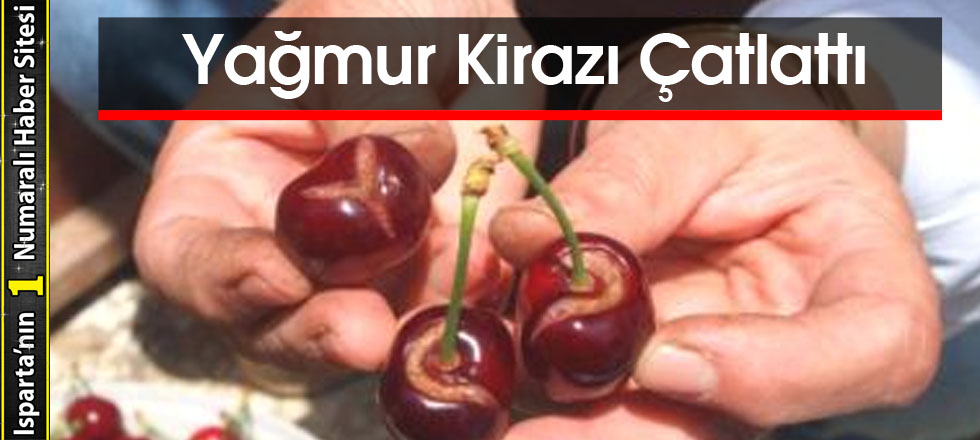 Yağmur Kirazı Çatlattı