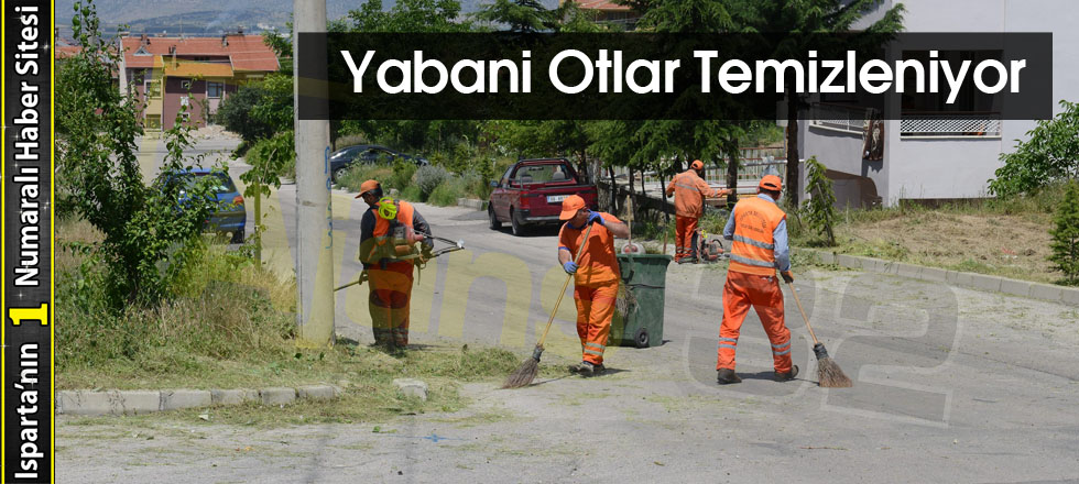 Yabani Otlar Temizleniyor