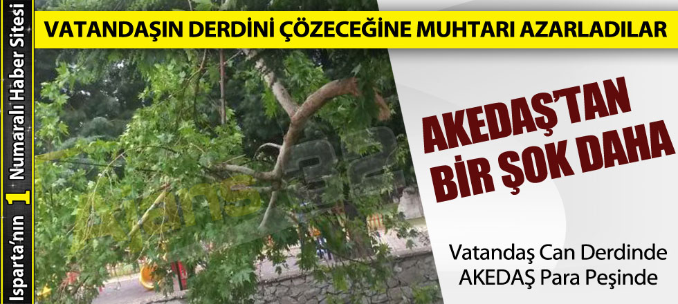 Vatandaşın Derdini Çözeceğine Muhtarı Azarladılar