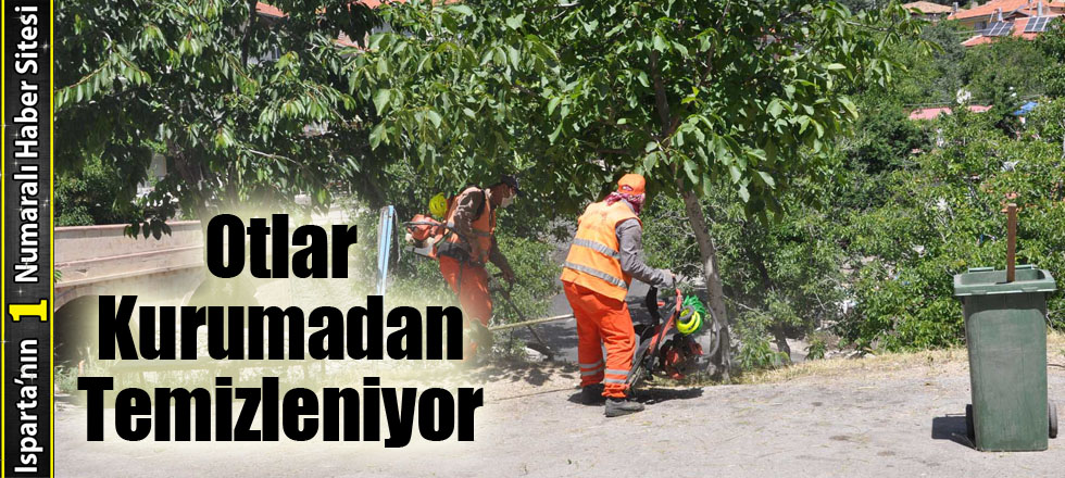 Otlar Kurumadan Temizleniyor