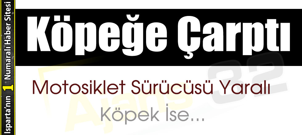 Köpeğe Çarptı... Sürücü Yaralı