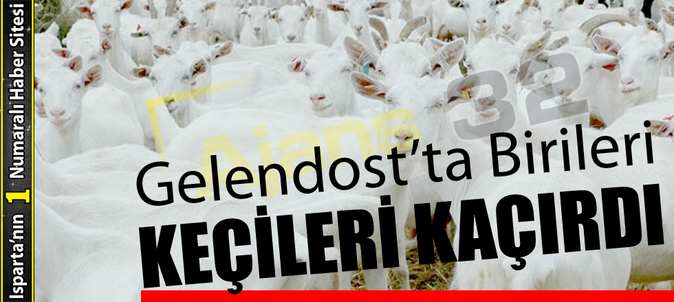 Gelendost'ta Birileri Keçileri Kaçırdı