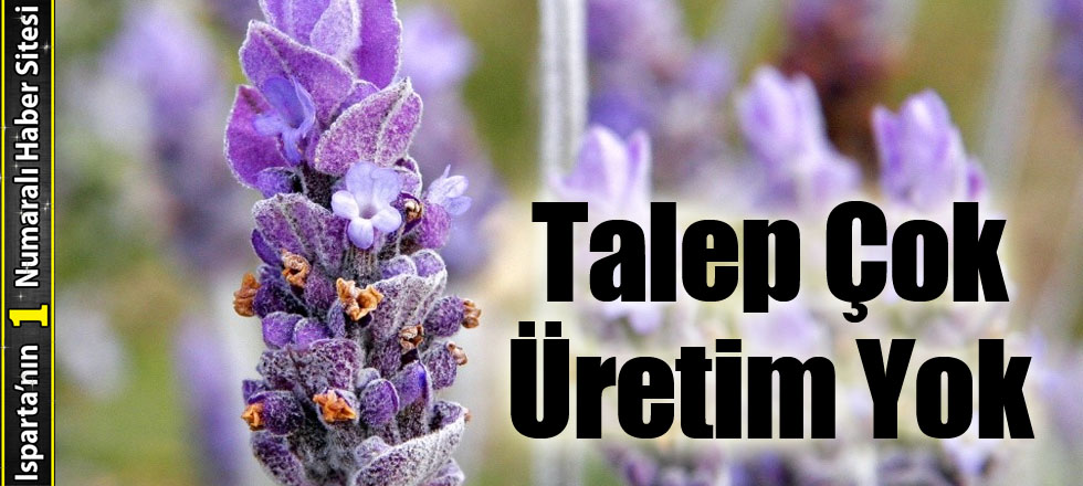 Talep Çok Üretim Yok