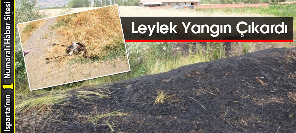 Leylek Yangın Çıkardı