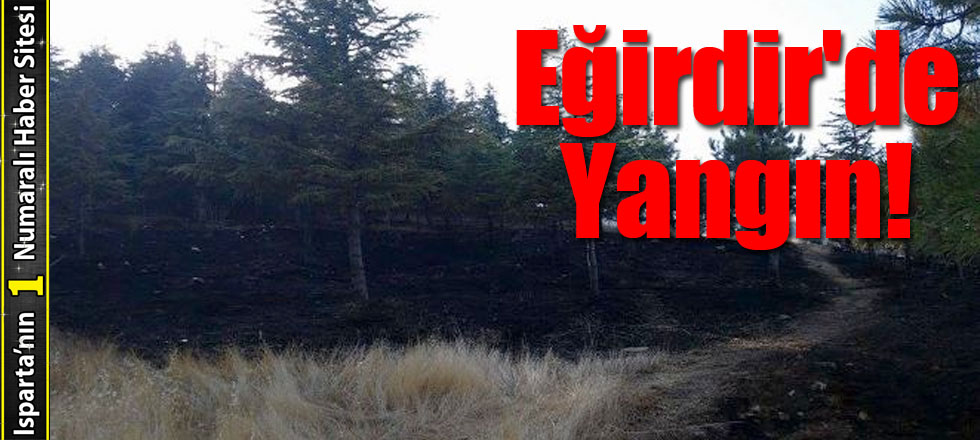 Eğirdir'de Yangın!