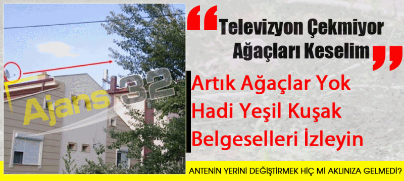 Televizyon Çekmiyor Ağaçları Keselim!