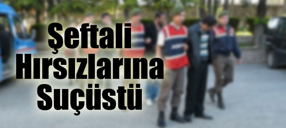 Şeftali Hırsızlarına Suçüstü