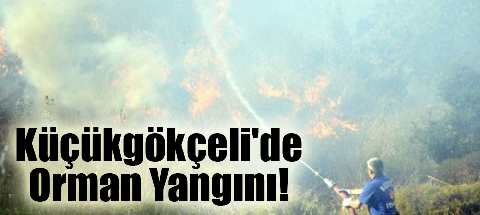 Küçükgökçeli'de Orman Yangını!