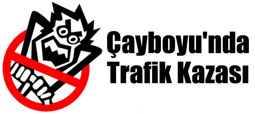 Çayboyu'nda Trafik Kazası