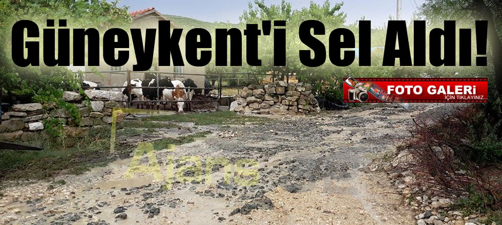 Güneykent'i Sel Aldı!