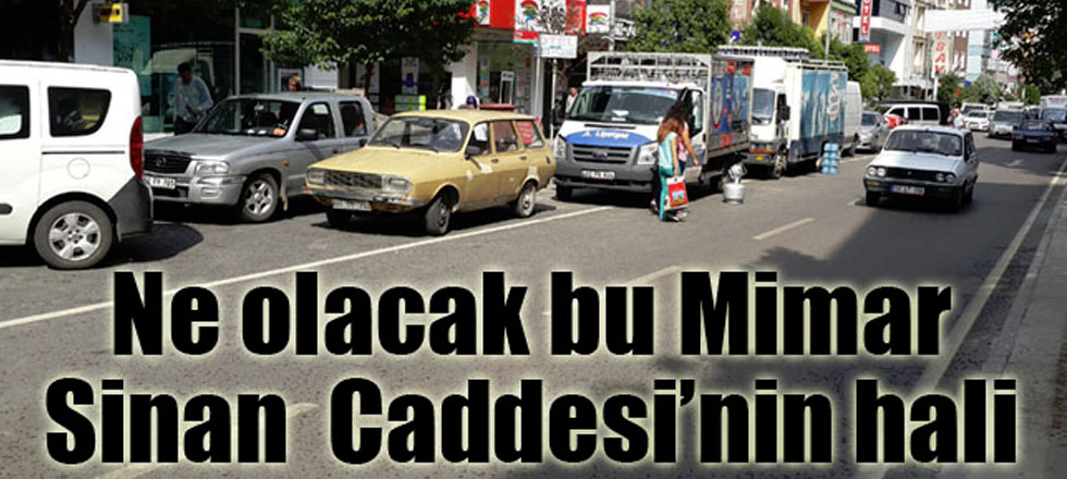 Ne Olacak Bu Mimar Sinan'ın Hali