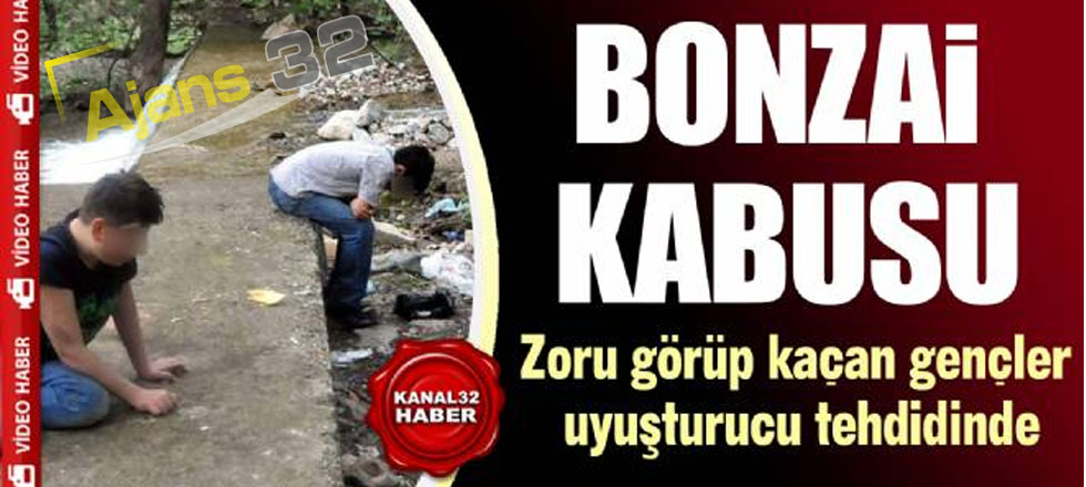 Kabusun Adı: Bonzai!