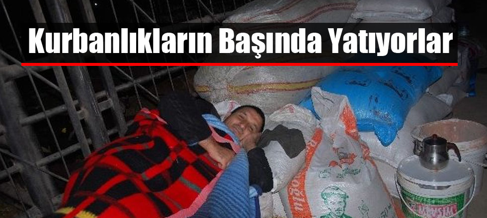 Kurbanlıkların Başında Yatıyorlar