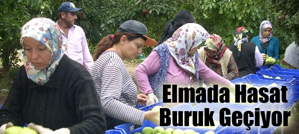 Elmada Hasat Buruk Geçiyor