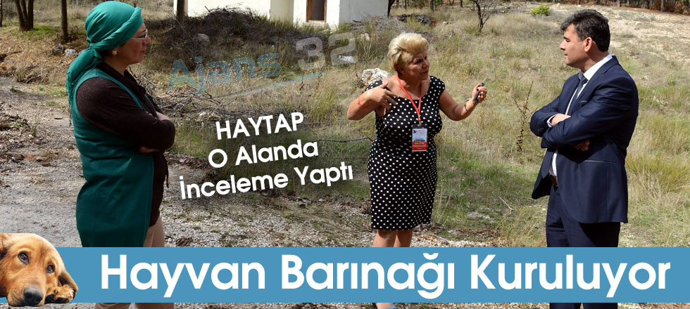 Hayvan Barınağı Kuruluyor